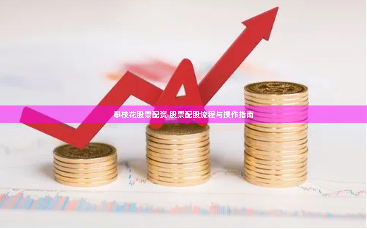 攀枝花股票配资 股票配股流程与操作指南